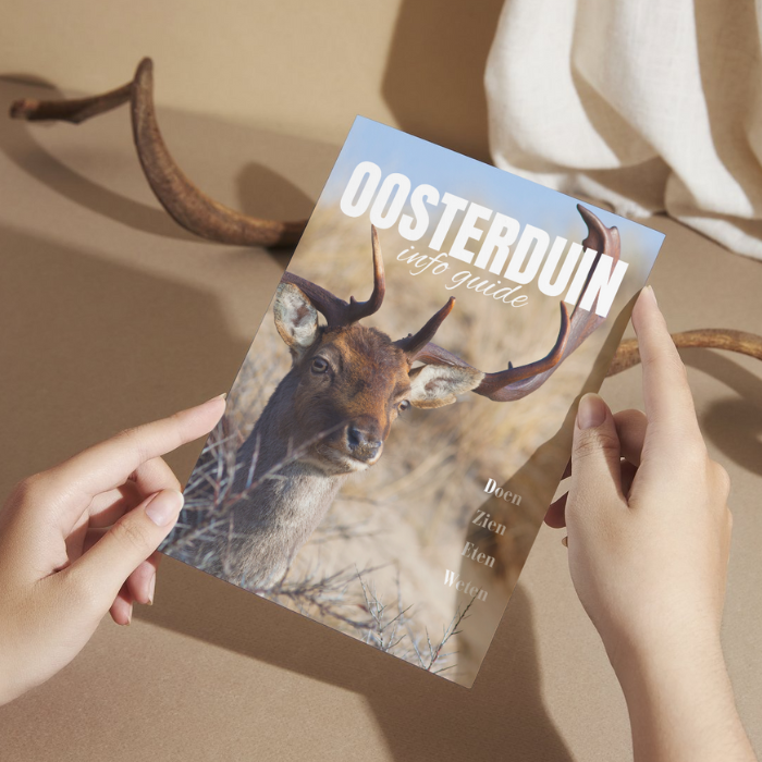 Guest directory info guide voorbeeld