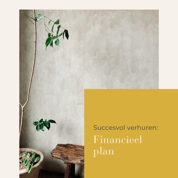 Financieel plan Financieel plan